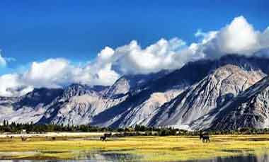 ladakh tour